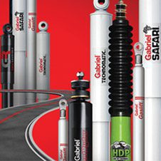 Shock absorber test e-car-gabriel-shock-absorber