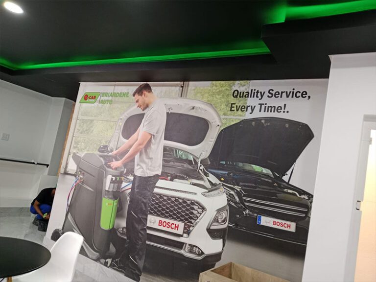 briardene-auto-e-car-10