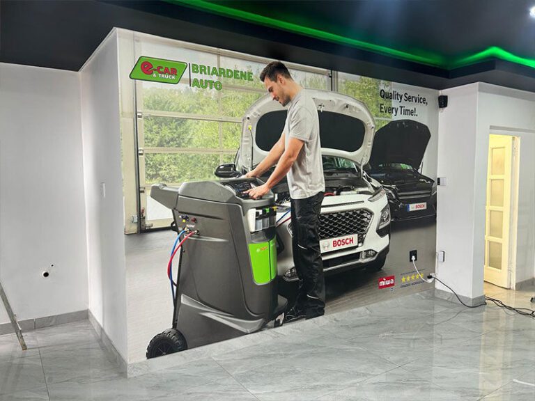 briardene-auto-e-car-3