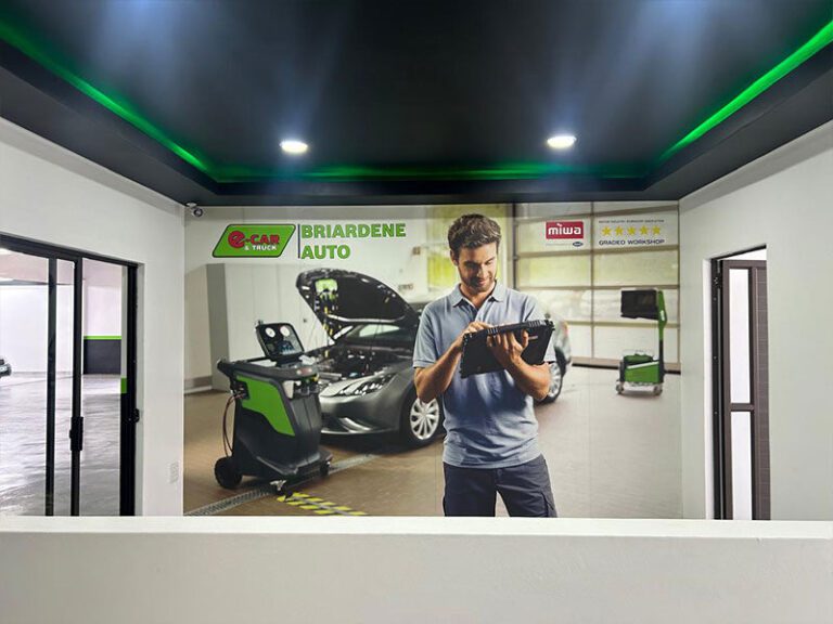 briardene-auto-e-car-4