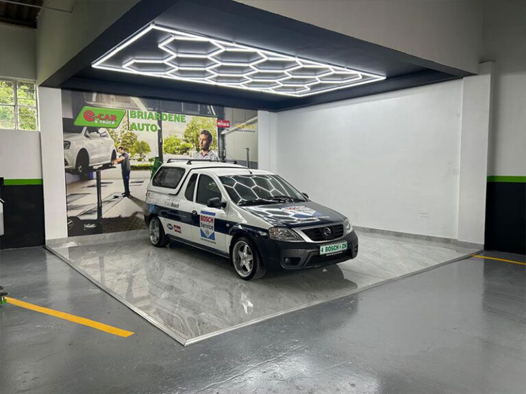 briardene-auto-e-car-5