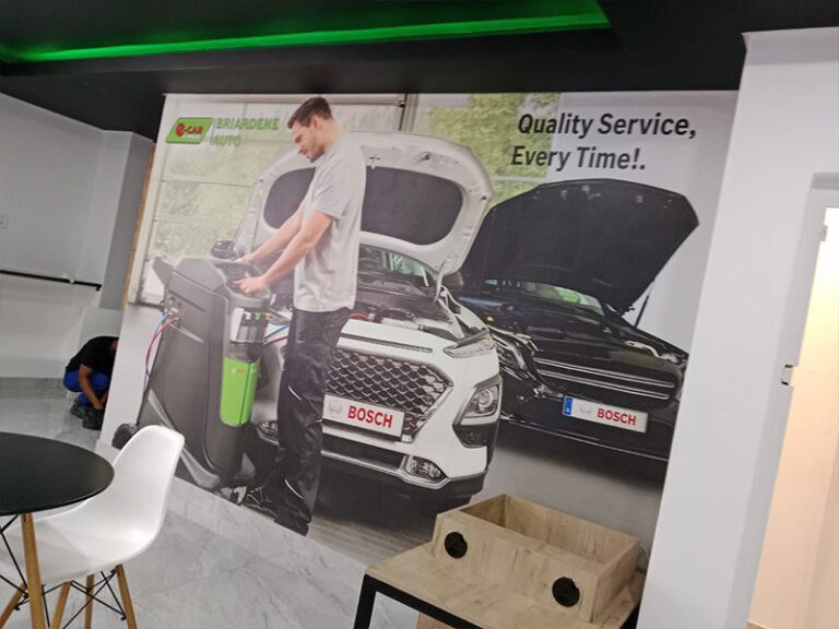 briardene-auto-e-car-6