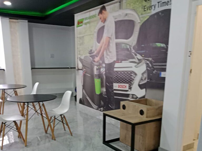 briardene-auto-e-car-7