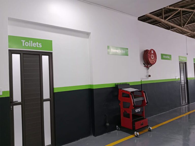 briardene-auto-e-car-9