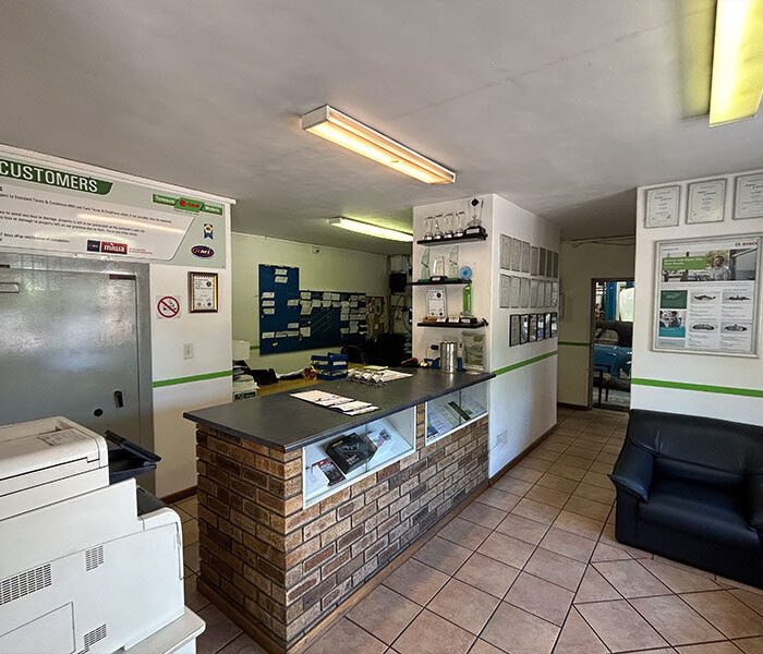 Car Repairs Stellenbosch | Tomson Motors | e-CAR 1 tomson-motors-plankenbrugh-stellenbosch-western-cape-car-service-e-car-14